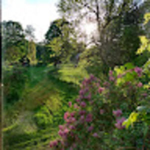 Meet your Posher, Anne